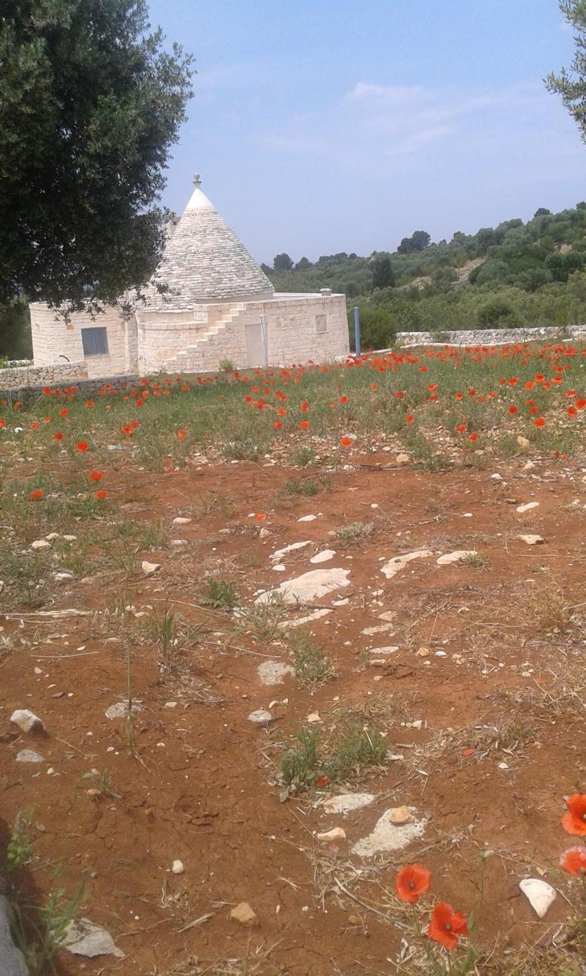 Trullo Alto Salento Villa Cisternino Dış mekan fotoğraf